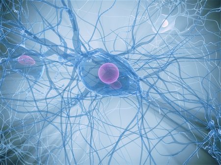 3d rendered close up of an isolated nerve cell Stock Photo - Budget Royalty-Free & Subscription, Code: 400-04553853