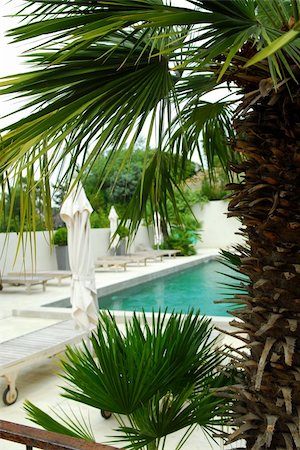 french riviera - Swimming pool of mediterranean villa in French Riviera Foto de stock - Super Valor sin royalties y Suscripción, Código: 400-04564024