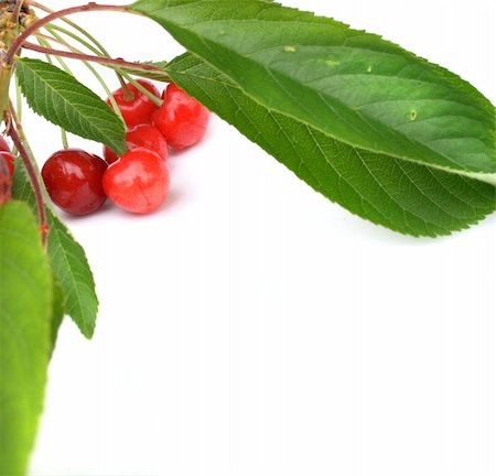 simsearch:400-05891431,k - red cherries with green leaves on the white background Stock Photo - Budget Royalty-Free & Subscription, Code: 400-04566501