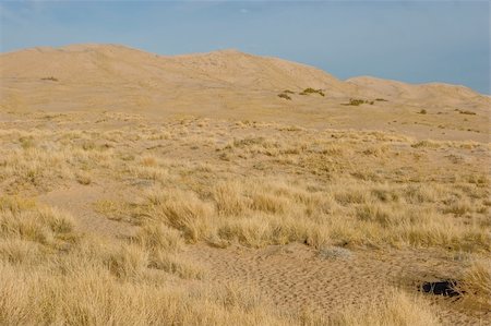 steppe - Kelso Dunes, also known as the Kelso Dune Field, is the largest field of eolian sand deposits in the Mojave Desert. Stock Photo - Budget Royalty-Free & Subscription, Code: 400-04566968