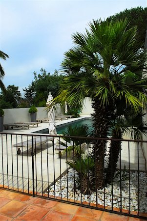 simsearch:693-06667961,k - Swimming pool of mediterranean villa in French Riviera Stock Photo - Budget Royalty-Free & Subscription, Code: 400-04567698