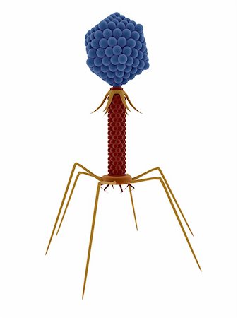 sem - 3d rendered illustration of an isolated  bacteriophage Stock Photo - Budget Royalty-Free & Subscription, Code: 400-04569529