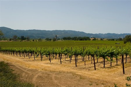 simsearch:846-05647552,k - Napa is the county seat of Napa County, California. Stock Photo - Budget Royalty-Free & Subscription, Code: 400-04561758