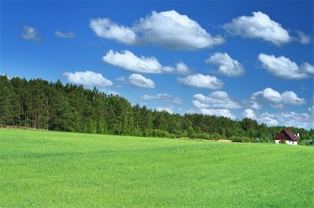 simsearch:400-03991406,k - little house in grass field, cumulus clouds above Stock Photo - Budget Royalty-Free & Subscription, Code: 400-04574260