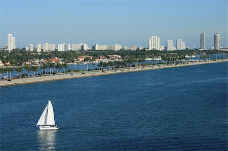 Panorama Shot of South Beach Florida.  Sailboats, palm trees, and office building all populate the scene. Stock Photo - Budget Royalty-Free & Subscription, Code: 400-04577199