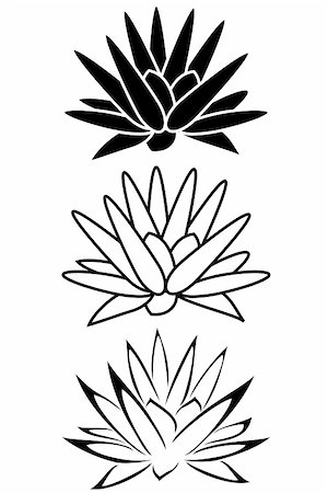 A lotus flower tribal tattoo set Stock Photo - Budget Royalty-Free & Subscription, Code: 400-04577899