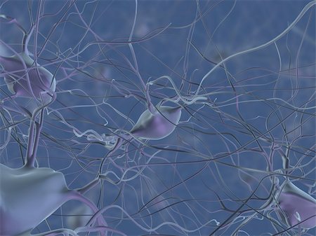 3d rendered anatomy illustration of human nerve cells Foto de stock - Super Valor sin royalties y Suscripción, Código: 400-04570818
