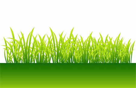 simsearch:400-04597010,k - Spring, green grass for your design Stock Photo - Budget Royalty-Free & Subscription, Code: 400-04584623