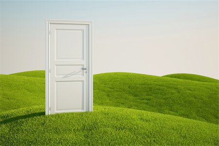 3D rendering of a grass field with a door Stock Photo - Budget Royalty-Free & Subscription, Code: 400-04585653