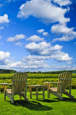 Muskoka chairs and table near vineyard under blue sky Stock Photo - Budget Royalty-Free & Subscription, Code: 400-04587875