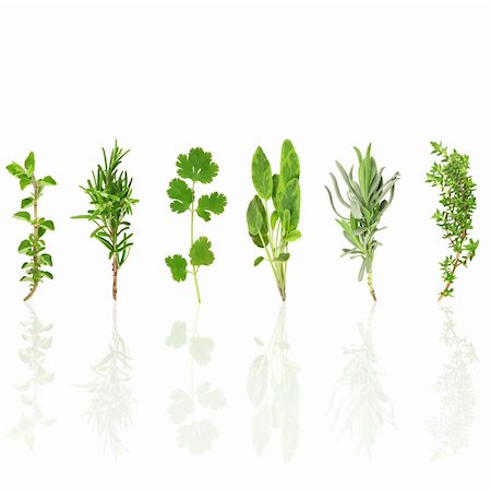 Herb leaf selection of with reflection, over white background. Photographie de stock - Aubaine LD & Abonnement, Code: 400-04589136