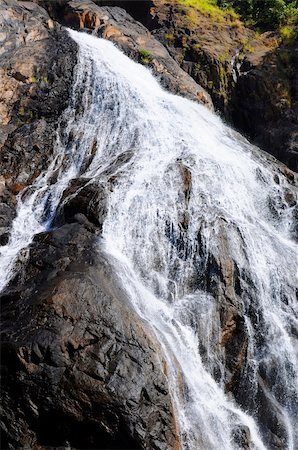 Dudhsagar waterfall in jungle forest in India (GOA, Karnataka) Photographie de stock - Aubaine LD & Abonnement, Code: 400-04580798