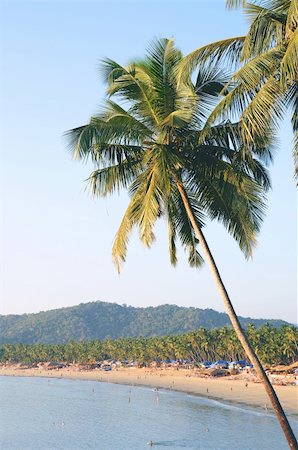simsearch:400-04062726,k - Palm trees with beautiful seascape on background with mountains, bay, sand beach and shacks. Foto de stock - Super Valor sin royalties y Suscripción, Código: 400-04580793