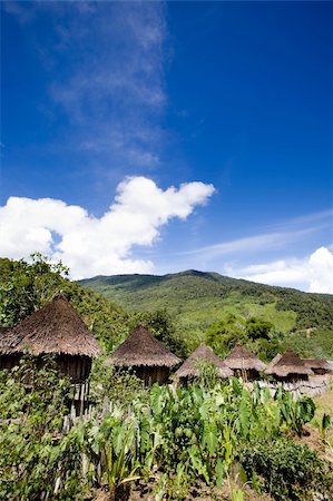 A traditional village in Papua, Indonesia Stock Photo - Budget Royalty-Free & Subscription, Code: 400-04581408