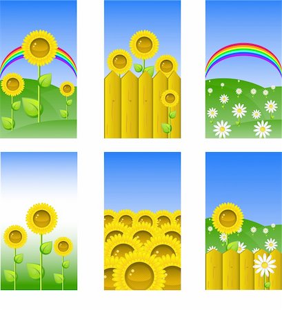 fence painting - Set of elements for design, backgrounds with sunflowers and chamomile, vector illustrations, eps 8 format Stock Photo - Budget Royalty-Free & Subscription, Code: 400-04583701