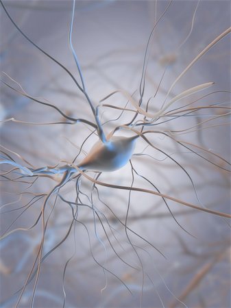 synapse - 3d rendered illustration of some nerve cells Stock Photo - Budget Royalty-Free & Subscription, Code: 400-04595026