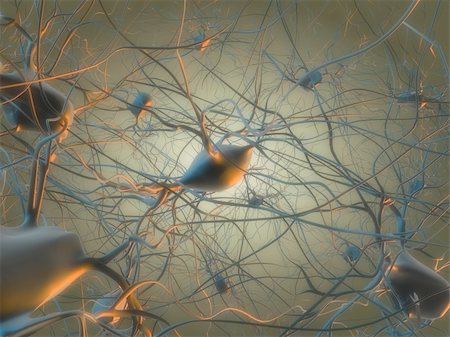 3d rendered illustration of some nerve cells Foto de stock - Super Valor sin royalties y Suscripción, Código: 400-04595022