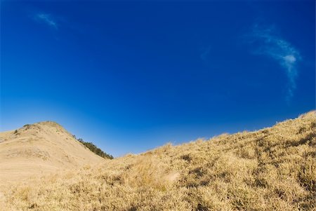 simsearch:400-05678857,k - Mountain landscape with golden grassland in the morning. Stock Photo - Budget Royalty-Free & Subscription, Code: 400-04592294