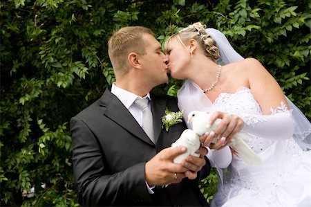 two white pigeons in hands of bride and groom Stock Photo - Budget Royalty-Free & Subscription, Code: 400-04592803