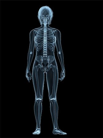 3d rendered illustration of a transparent female body with skeletal system Stock Photo - Budget Royalty-Free & Subscription, Code: 400-04604500