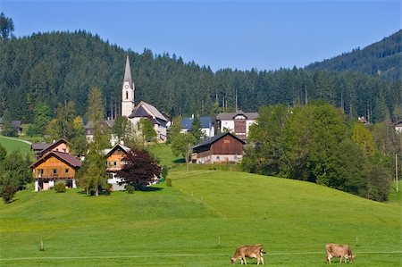 simsearch:400-05135647,k - Gosau, beautiful town in Salzkammergut region, Austria Stock Photo - Budget Royalty-Free & Subscription, Code: 400-04606778