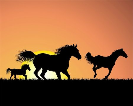 Horse silhouette on sunset background. Vector illustration. Stock Photo - Budget Royalty-Free & Subscription, Code: 400-04615104