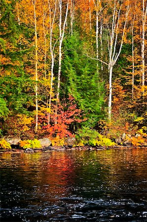 Lake shore of fall forest with colorful reflections Stock Photo - Budget Royalty-Free & Subscription, Code: 400-04617408