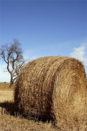 simsearch:400-04794343,k - Yellow straw round bale in the fields, blue sky, Spain Stock Photo - Budget Royalty-Free & Subscription, Code: 400-04618333