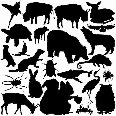 23 pieces of detailed vectoral wild animals silhouettes. Stock Photo - Budget Royalty-Free & Subscription, Code: 400-04618937