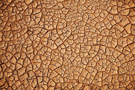 dehydrated - Cracked earth background. Cracked and dried mud texture Stock Photo - Budget Royalty-Free & Subscription, Code: 400-04610879
