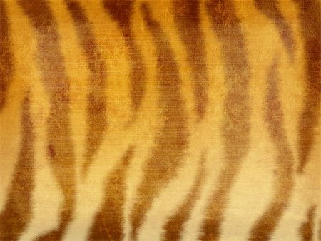 simsearch:400-04544818,k - Grunge background - striped fur of a tiger Photographie de stock - Aubaine LD & Abonnement, Code: 400-04611540