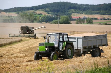 Machine harvesting field of vheat Stock Photo - Budget Royalty-Free & Subscription, Code: 400-04626673