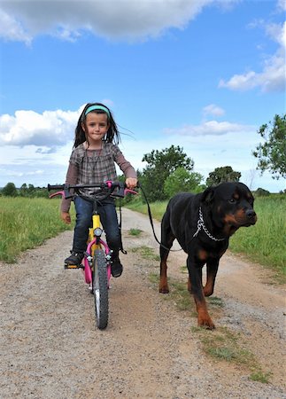 dog bike - little girl with her purebred rottweiler on a bicycle Stock Photo - Budget Royalty-Free & Subscription, Code: 400-04627413