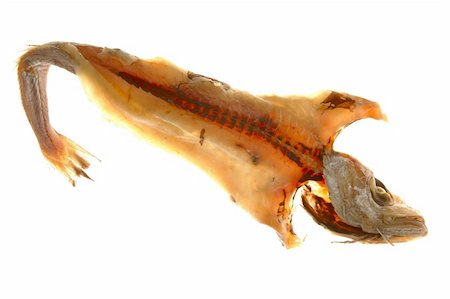 dried human bodies - Dried salted hake fish over white background Stock Photo - Budget Royalty-Free & Subscription, Code: 400-04621247