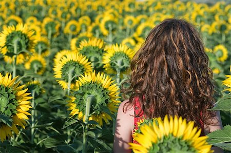 simsearch:400-04754019,k - Beautiful woman in the field of sunflowers Stock Photo - Budget Royalty-Free & Subscription, Code: 400-04622088