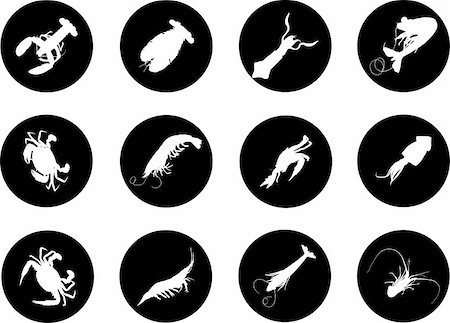 Fish. Set of 12 round vector buttons for web Stock Photo - Budget Royalty-Free & Subscription, Code: 400-04635184