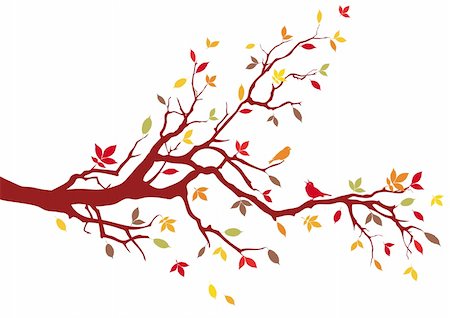 simsearch:400-08791935,k - Autumn tree with colorful leaves, vector Foto de stock - Super Valor sin royalties y Suscripción, Código: 400-04638422