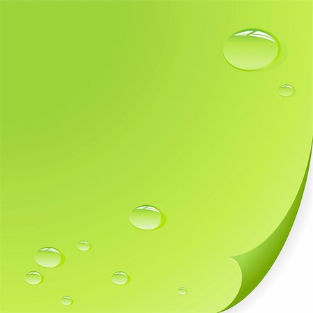 simsearch:400-05275951,k - Water drops on leaf. Vector art. Stock Photo - Budget Royalty-Free & Subscription, Code: 400-04630819