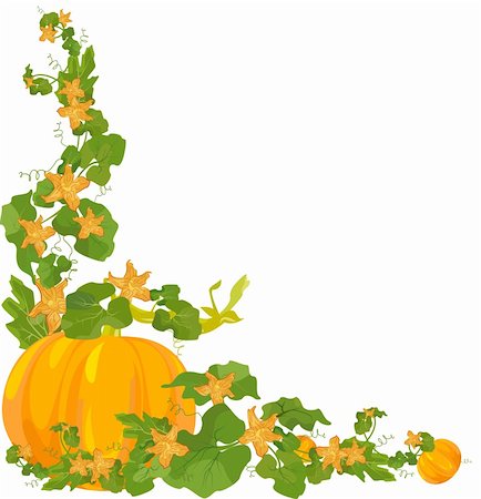 pumpkin fruit and his leafs - Vector decorative border. Easy to edit and modify. EPS file included. Stock Photo - Budget Royalty-Free & Subscription, Code: 400-04631775