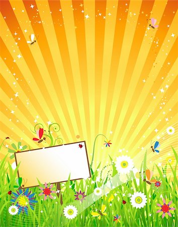 simsearch:700-02265197,k - Summer meadow beautiful Stock Photo - Budget Royalty-Free & Subscription, Code: 400-04633528