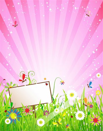 Summer meadow beautiful Stock Photo - Budget Royalty-Free & Subscription, Code: 400-04633529