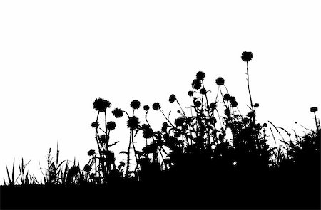 simsearch:400-04817406,k - Grass silhouette black Stock Photo - Budget Royalty-Free & Subscription, Code: 400-04644433