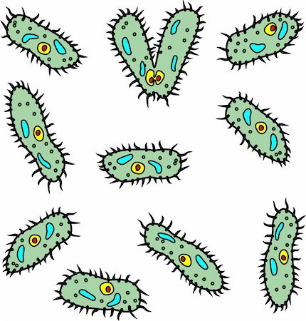 Some vector microbes - infusorians on a white background Stock Photo - Budget Royalty-Free & Subscription, Code: 400-04645255