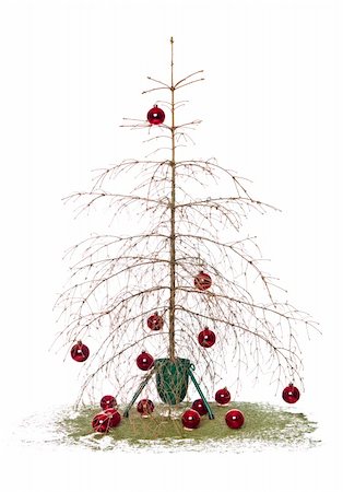 Dead christmas tree isolated on a white background Stock Photo - Budget Royalty-Free & Subscription, Code: 400-04648352