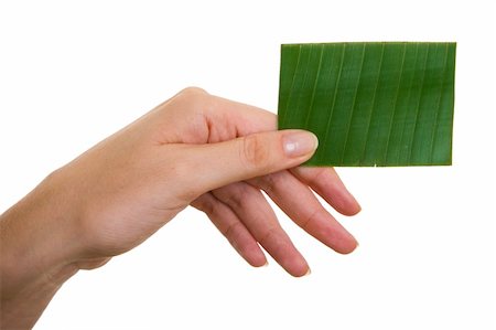 spanishalex (artist) - Woman's hand holding up green business card Stock Photo - Budget Royalty-Free & Subscription, Code: 400-04648812