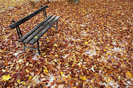 simsearch:400-05256623,k - Photo of a lonely bench in a park covered of fallen leaves with Autumn colors. Photographie de stock - Aubaine LD & Abonnement, Code: 400-04640098