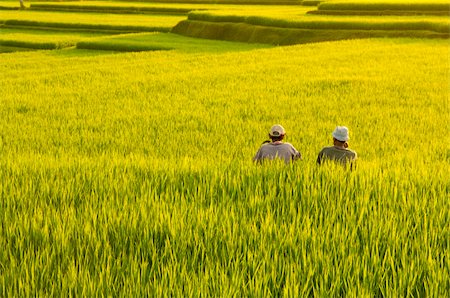 simsearch:400-05905687,k - Two farmers resting between terrace rice fields in evening sunset, Bali, Indonesia. Stock Photo - Budget Royalty-Free & Subscription, Code: 400-04640425