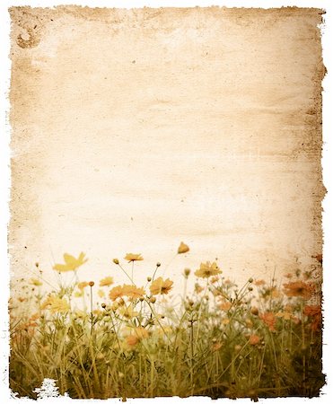 painterly - old-fashioned artistic flower - made effects from my originals Photographie de stock - Aubaine LD & Abonnement, Code: 400-04640461
