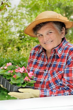 Senior woman - gardening Stock Photo - Budget Royalty-Free & Subscription, Code: 400-04655655