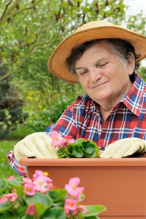 Senior woman - gardening Stock Photo - Budget Royalty-Free & Subscription, Code: 400-04655653